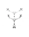 startech QUAD MONITOR MOUNT - PREMIUM/. - nr 4
