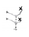 startech QUAD MONITOR MOUNT - PREMIUM/. - nr 7
