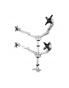 startech QUAD MONITOR MOUNT - PREMIUM/. - nr 8