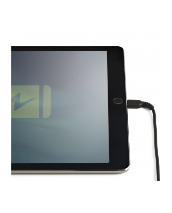 startech 30CM USB TO LIGHTNING CABLE/.
