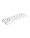 CHERRY AK-C7000 PROT. KEYBOARD/WHITE - nr 4