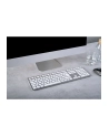 cherry KW 9100 SLIM FOR MAC KEYBOARD/WIRELESS SILVER GERMANY - nr 23