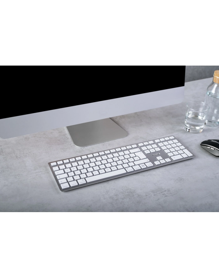 cherry KW 9100 SLIM FOR MAC KEYBOARD/WIRELESS SILVER GERMANY główny