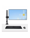 startech LAPTOP D-ESK MOUNT. VESA TRAY/. - nr 32