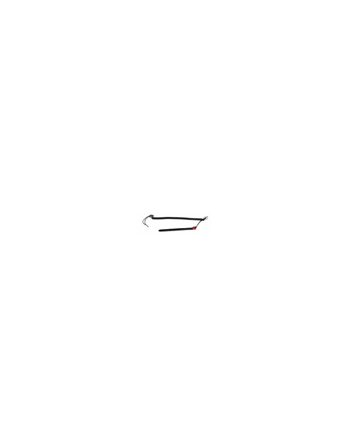 honeywell Stylus for CT40/CT45/CT40XP/CT45XP . 1pc each pack główny