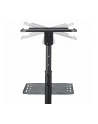 startech PROJECTOR AND LAPTOP STAND/. - nr 22