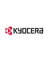 KYOCERA LIFE PLUS 3 YEARS/GROUP 24 - nr 2