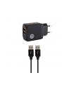 our pure planet WALL CHARGER 2 USB PORTS 4.8A/(wersja europejska) 30W - nr 8