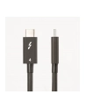 startech 3FT (1M) THUND-ERBOLT CABLE/INTEL-CERTIFIED 40GBPS 100W PD - nr 11