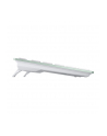 cherry KW 7100 MINI BT AGAVE GREEN/ - nr 13