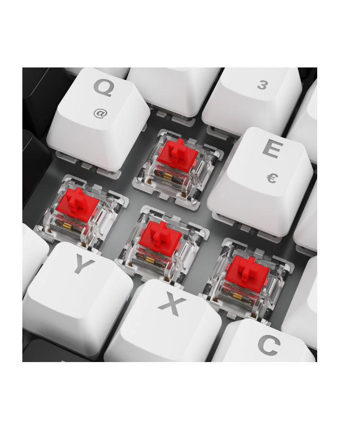 sharkoon SKILLER SGK50 S3 WHITE/GAT RED/HOT-SWAP/75 LAYOUT/SPIRALCAB główny