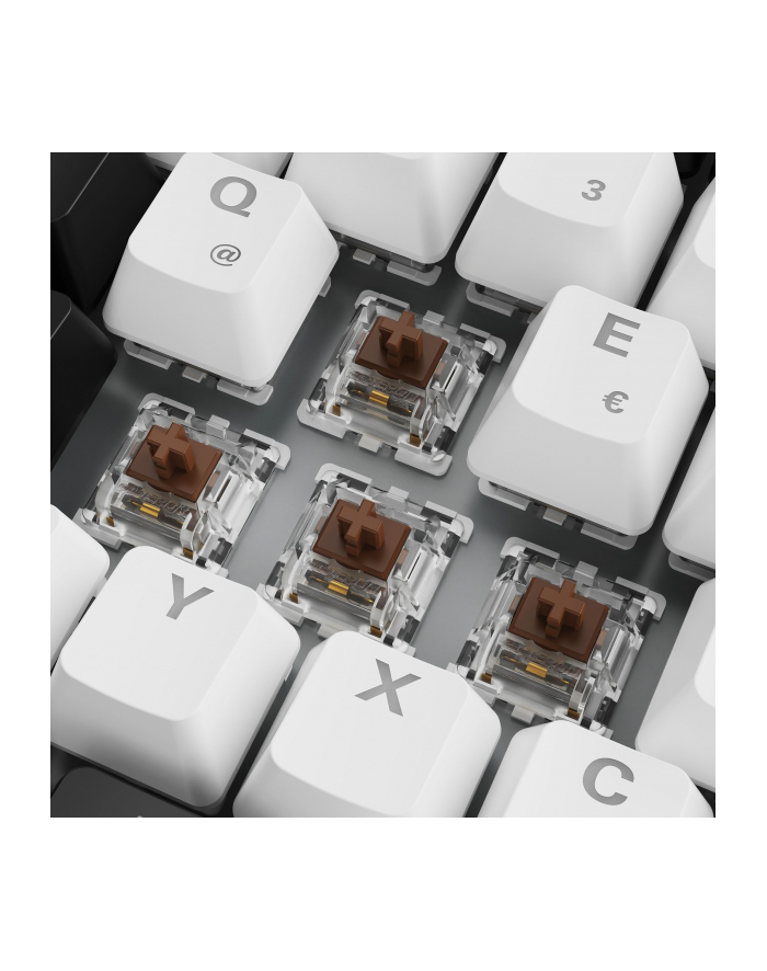 sharkoon SKILLER SGK50 S3 WHT/GAT BROWN/HOT-SWAP/75 LAYOUT/SPIRALCAB główny