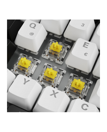 sharkoon SKILLER SGK50 S3 WHT/GAT YELLOW/HOT-SWAP/75 LAYOUT/SPIRALCAB