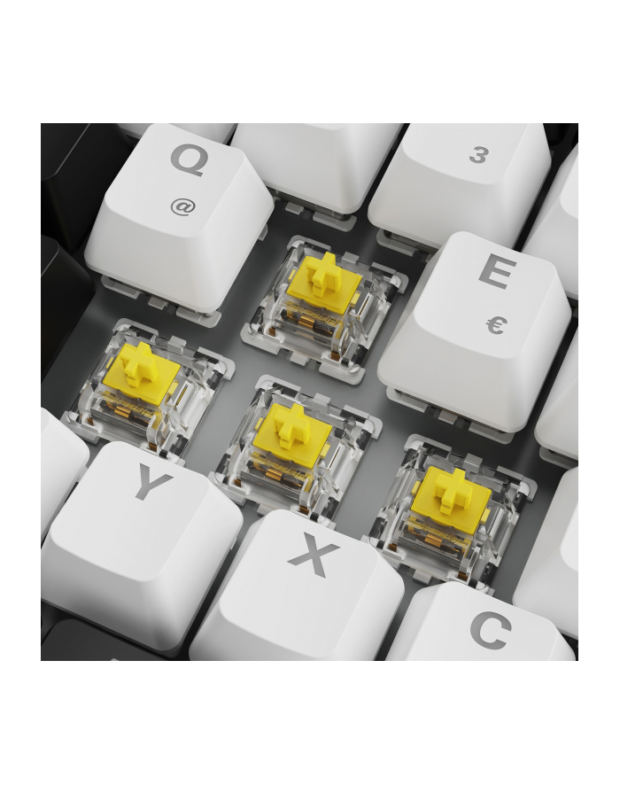sharkoon SKILLER SGK50 S3 WHT/GAT YELLOW/HOT-SWAP/75 LAYOUT/SPIRALCAB główny