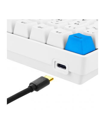 sharkoon SKILLER SGK50 S3 PBT WHITE/HOT-SWAP/75 LAYOUT/SPIRALCAB nr 2