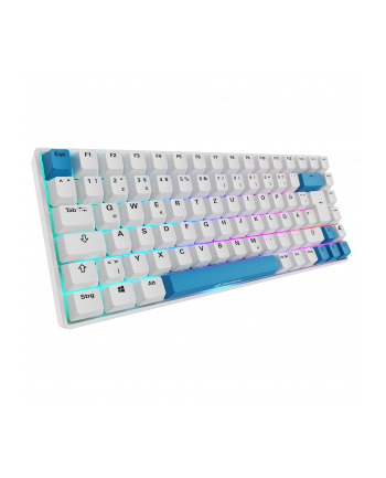 sharkoon SKILLER SGK50 S3 PBT WHITE/HOT-SWAP/75 LAYOUT/SPIRALCAB nr 1