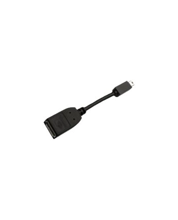 pny technologies PNY Zubehör: Kabelpeitsche mDP ='gt;DP nr 1