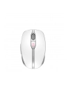 CHERRY Desktop DW 9100 SLIM [FR] WL AES silver BT Lithium Akku - wochenlange Nutzung ohne Aufladung - nr 26