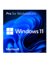 microsoft MS SB Windows 11 Pro for Workstations [D-E] DVD - nr 5
