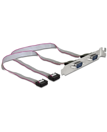 Delock Slotblech Seriell 2-Port DB9 extern +++ Kabellänge 27cm, Belegung: 1:1 nr 1