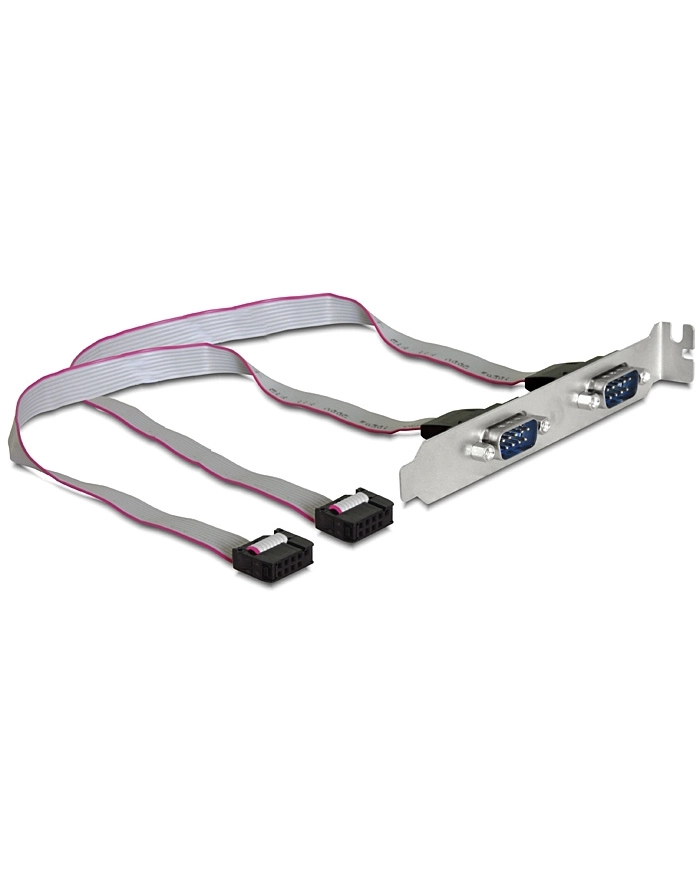 Delock Slotblech Seriell 2-Port DB9 extern +++ Kabellänge 27cm, Belegung: 1:1 główny