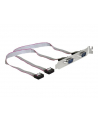 Delock Slotblech Seriell 2-Port DB9 extern +++ Kabellänge 27cm, Belegung: 1:1 - nr 4