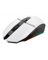 microsoft MS Office 2024 Home 'amp; Business [D-E] PKC for Windows / MacOS - nr 20