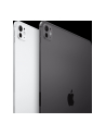 Apple iPad Pro 11-inch (M4) WiFi 256GB st glass Silver - nr 19