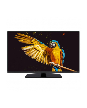 Telewizor LED GogennTVF40M340STWEB 40 cali Full HD