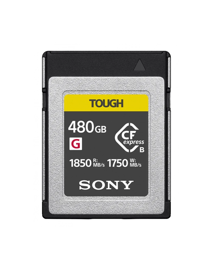 Sony Cebg Series Cebg480T (CEBG480T) główny