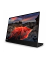 lenovo Monitor 14 cali ThinkVision WLED LCD 63FDUAT6WL - nr 47