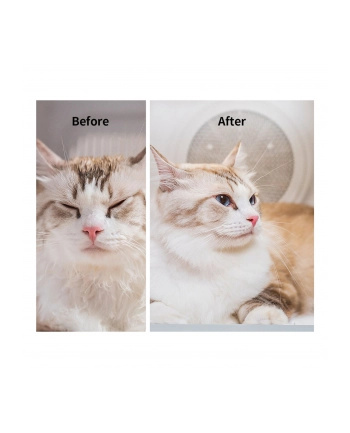 PetKit Airsalon Max nr 1