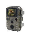 Braun Phototechnik Kamera Obserwacyjna Scouting Cam Black 800 Mini (800MINI) - nr 1