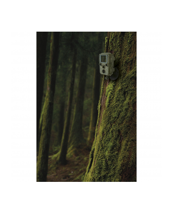 Braun Phototechnik Kamera Obserwacyjna Scouting Cam Black 800 Mini (800MINI)