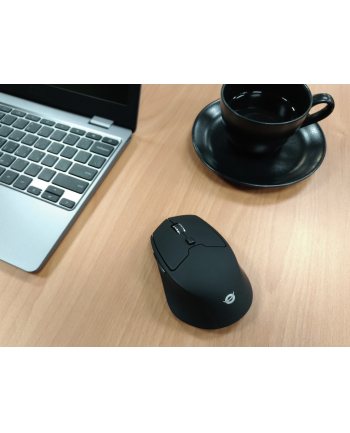 Conceptronics Conceptronic LORCAN - Czarny (LORCAN02BNEUEVERSION)