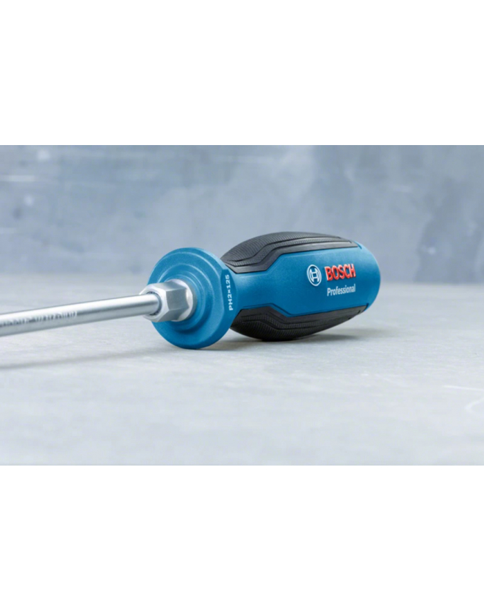 Bosch Professional Wkrętak płaski 1600A01TG1 główny