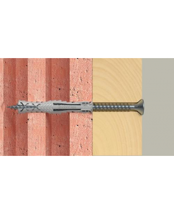 Fischer plug SX Plus 10x80 25 pcs. nr 2