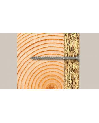 Fischer PowerFast II 5,0x60 SK TX TG blvz 200