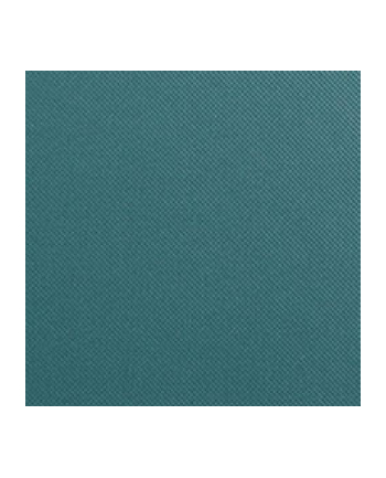 Walther Fun pudelko na zdjecia petrol 700 zdjec 10x15    FB115K