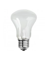 Elinchrom adjustment light 196V/100W E 27 - nr 1