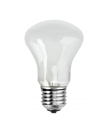 Elinchrom adjustment light 196V/100W E 27 nr 1