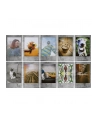 Fujifilm instax mini Film stone grey - nr 5