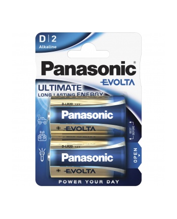 12x2 Panasonic Evolta Mono D LR 20                LR20EGE/2BP