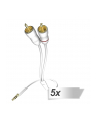 in - akustik 5x in-akustik Star Audio kabel 3,5 mm jack - Cinch 0,5 m - nr 1