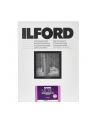 1x100 Ilford MG RC DL  1M   9x13 - nr 1