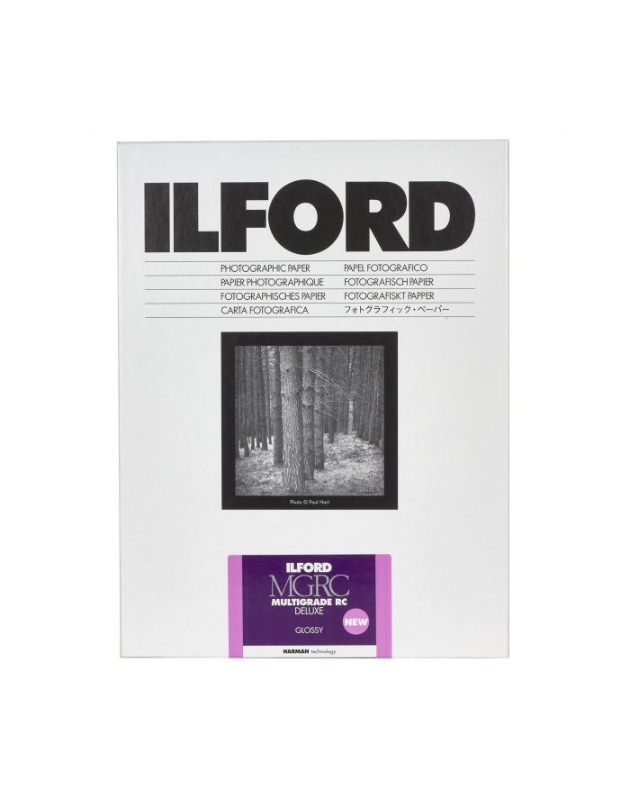 1x100 Ilford MG RC DL  1M 10,5x14,8 główny