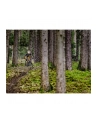 Garmin Varia UT 800 Trail Edition - nr 6