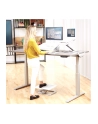 Fellowes Hana Document/Writing Slope Kolor: BIAŁY - nr 2