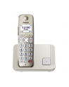 Panasonic KX-TGE250GN champagne - nr 1