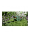 Bosch EasyHedgeCut 55 norzyce do zywoplotu elektr. - nr 23